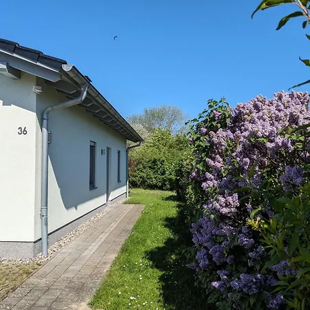 Holiday In Near Baltic Sea Beach